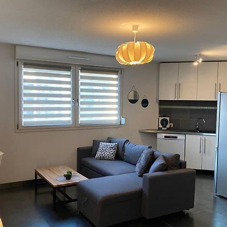 Ferienwohnung F2 Au Calme, Proche Gare, Center Parc, Sainte Croix Sarrebourg Exterior foto