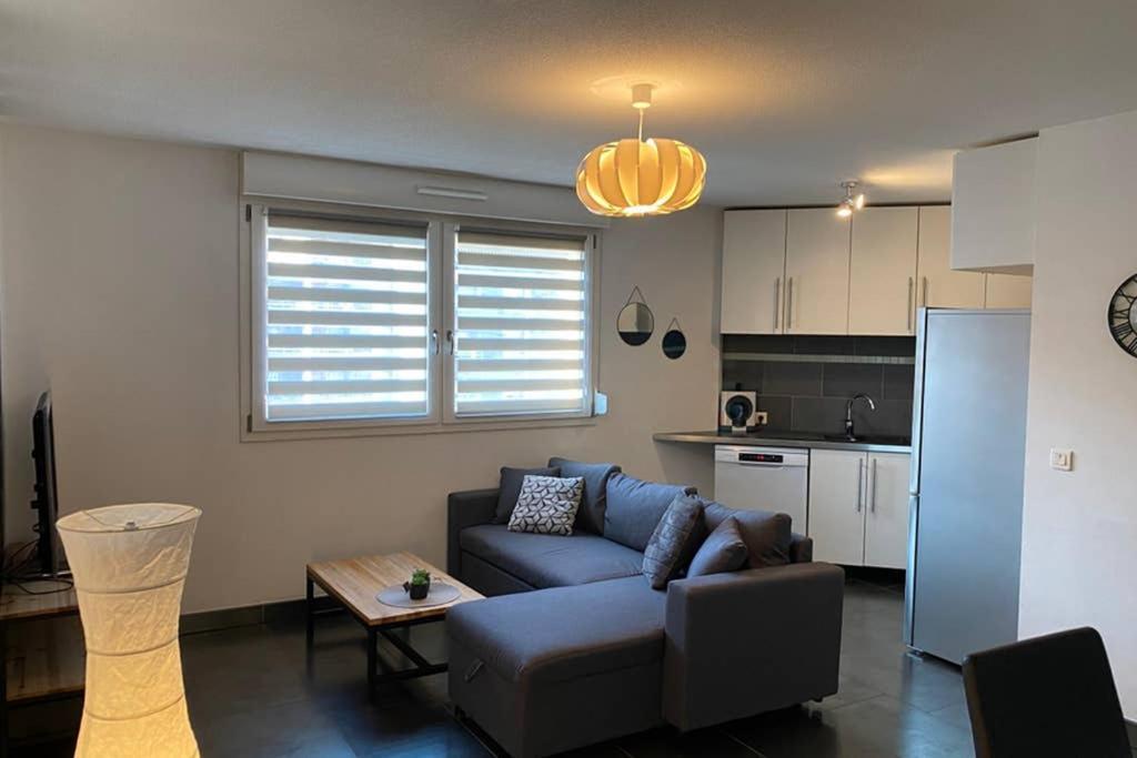 Ferienwohnung F2 Au Calme, Proche Gare, Center Parc, Sainte Croix Sarrebourg Exterior foto